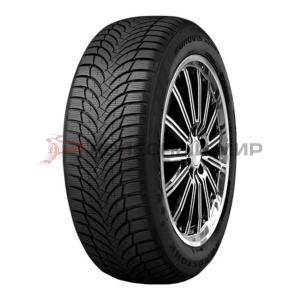 ROADSTONE Eurovis Alpine 2 195/55/15  H 89   XL